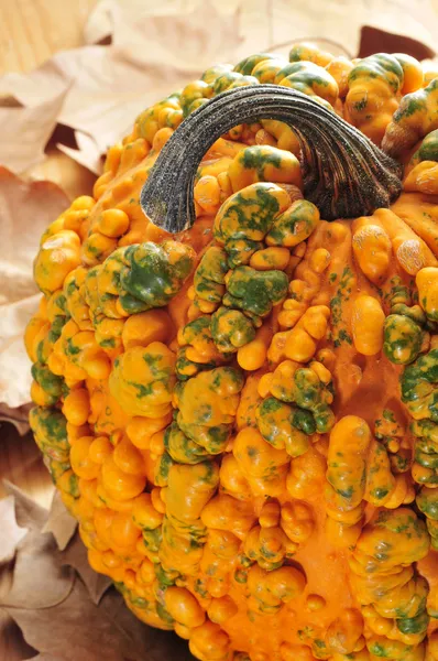 Pumpkin — Stock Photo, Image