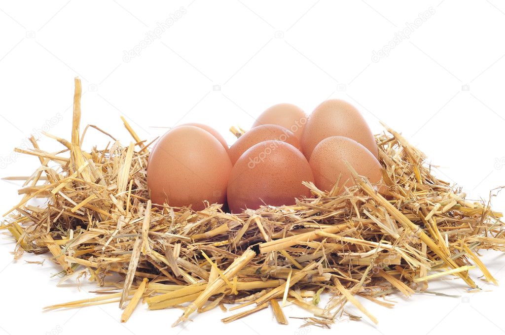 Brown eggs in a nest