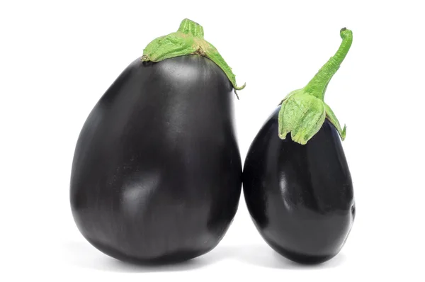 Aubergines — Photo