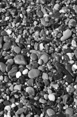 Shingle Plajı