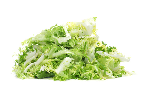 Escarole endive