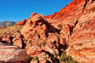 Red rock canyon Ulusal koruma alanı, nevada, Amerika Birleşik Devlet
