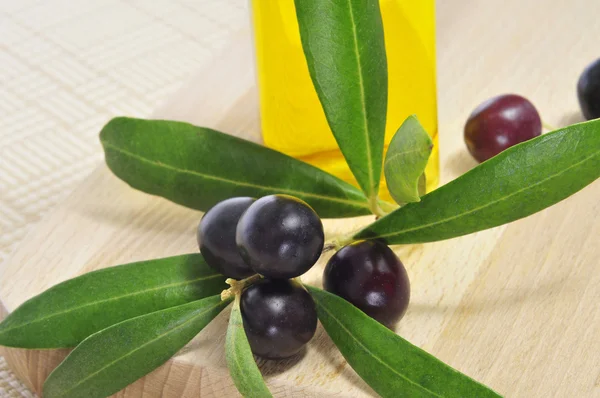 Olives noires et huile d'olive — Photo