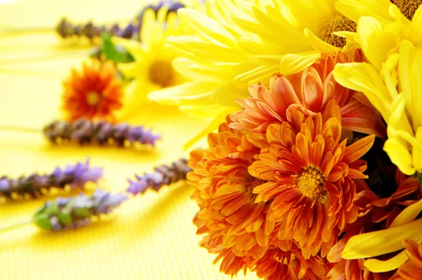 Flowers — Stock Photo, Image