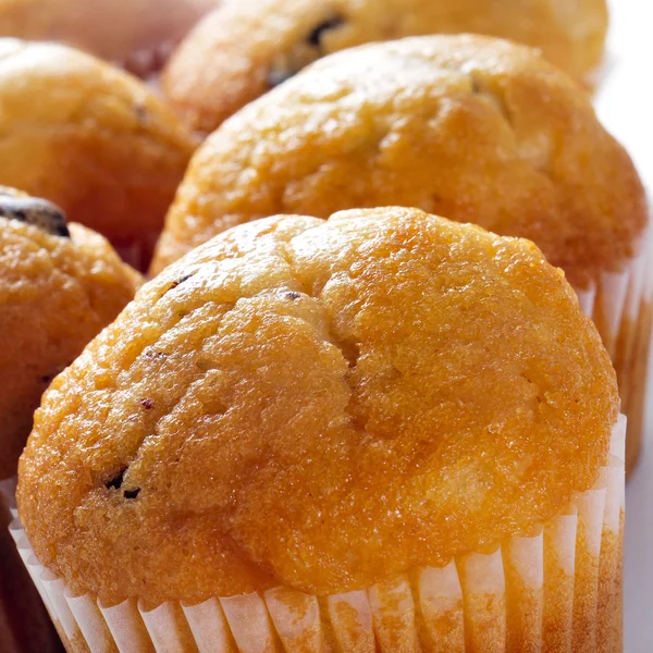 Muffins de chocolate — Fotografia de Stock