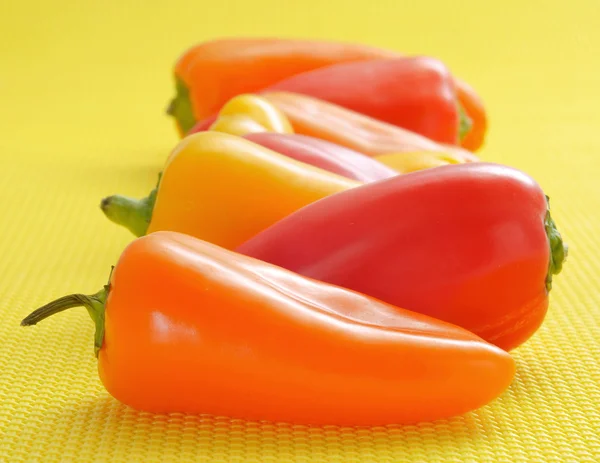Sweet bite peppers of different colors — Stock Photo, Image