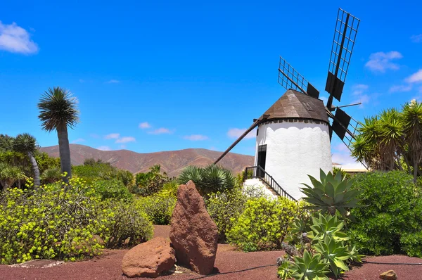 Antigua, fuerteventura, Kanarya Adaları, İspanya yel değirmeni — Stok fotoğraf