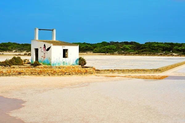 Estanques de evaporación de sales en el Parque Natural de Ses Salines de Formentera — Foto de Stock