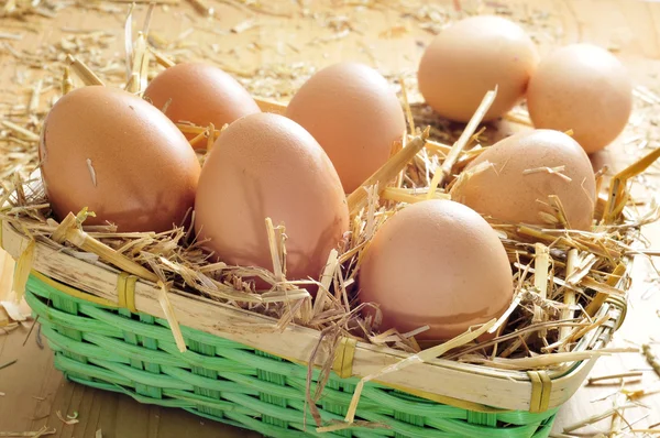 Braune Eier im Korb — Stockfoto