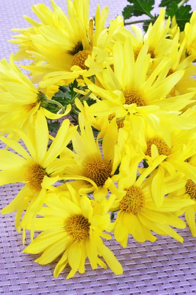 Yellow daisies — Stock Photo, Image