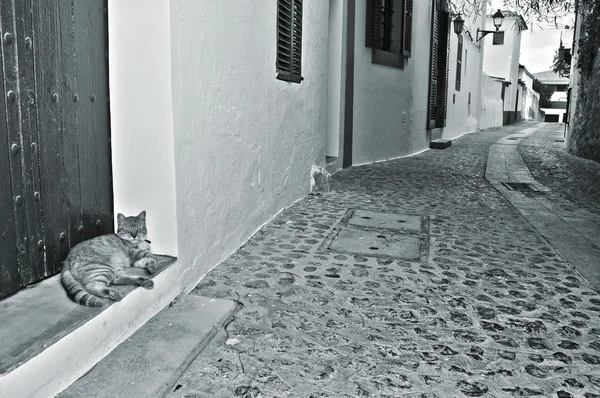 Straße der Altstadt von Ibiza-Stadt, Balearen, Spanien — Stockfoto