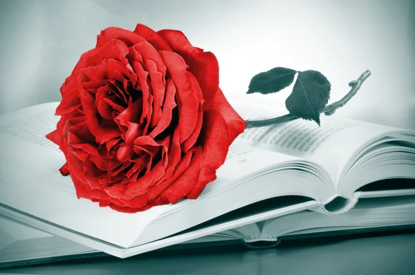 Rose rouge et quelques livres — Photo