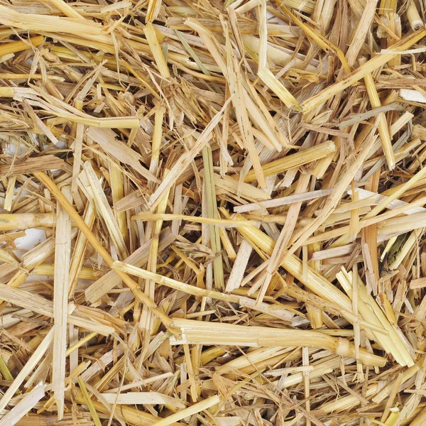 Straw — Stock Photo, Image