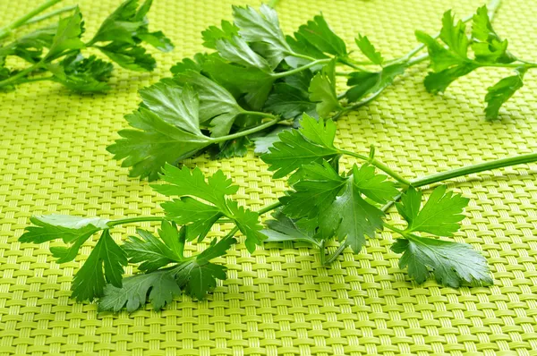 Parsley — Stock Photo, Image