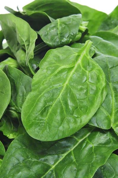 Spinach — Stock Photo, Image