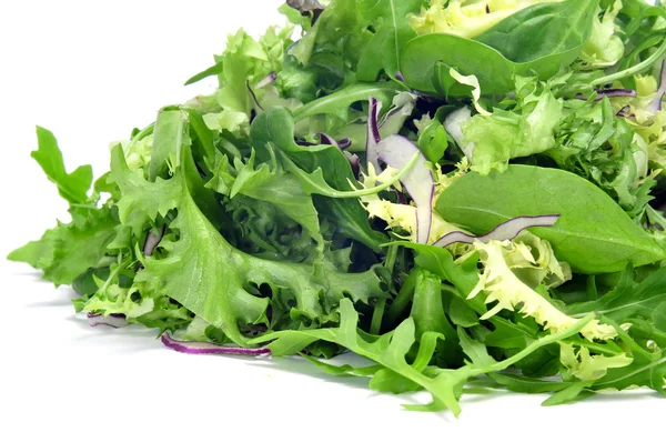 Sallad mix — Stockfoto