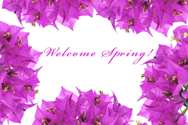 Welcome spring — Stock Photo, Image
