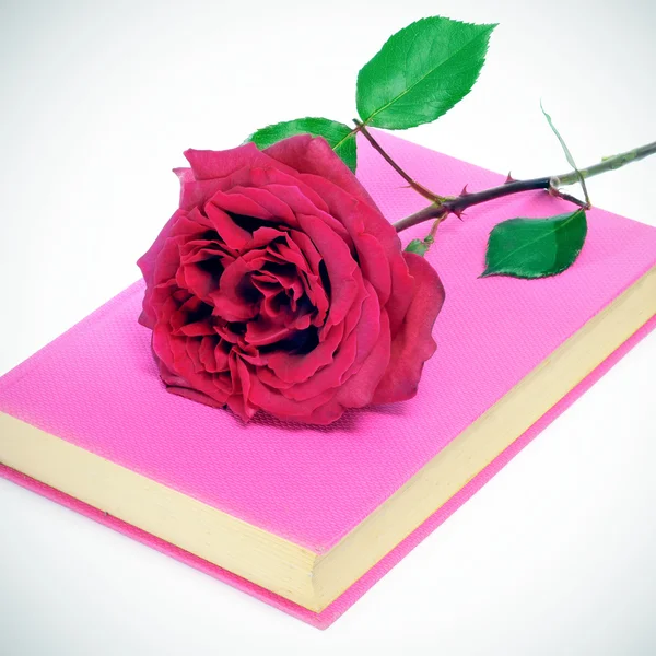 Rode rose en een roze boek — Stockfoto