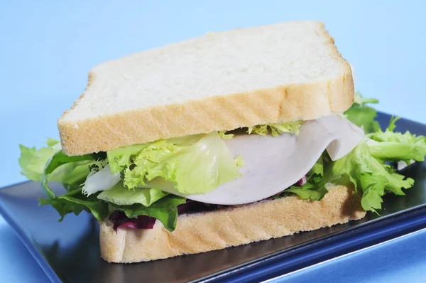 Sandwich aux légumes et dinde — Photo