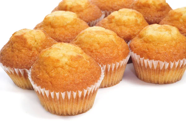 Vanlig muffins — Stockfoto