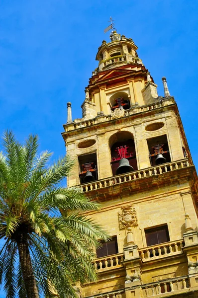 市中心的大教堂清真寺的科尔多瓦，西班牙钟楼 — 图库照片