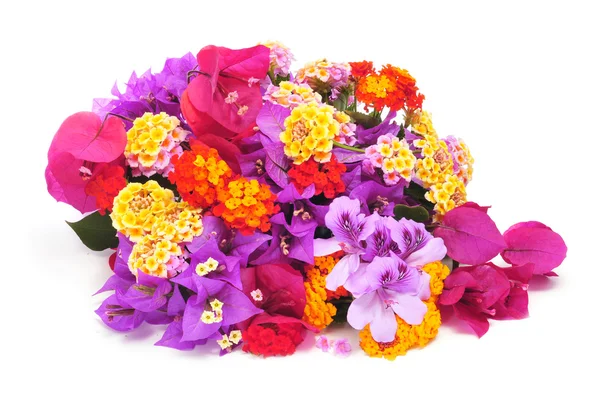 Bunch of different flowers — Stock Photo, Image