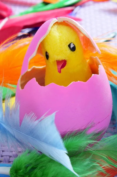 Easter egg and chick — Stock Photo, Image