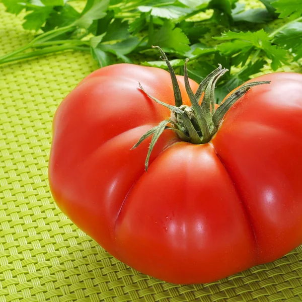 Tomate et persil — Photo