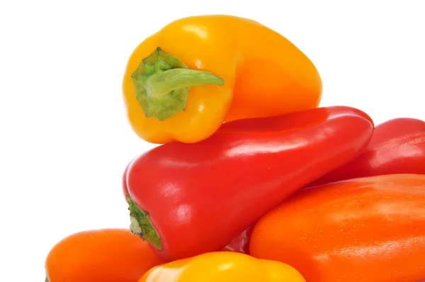 Sweet bite peppers of different colors — Stock Photo, Image