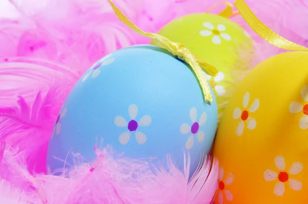 Easter eggs and feathers — Stock Photo, Image