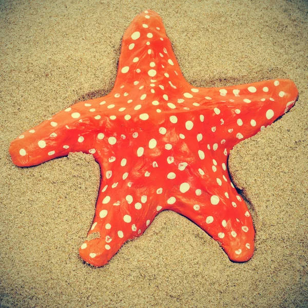 Seastar on the sand of a beach — Stock Photo, Image