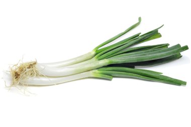 calcots, catalan sweet onions clipart