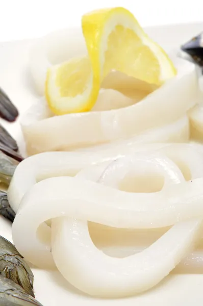 Raw squid rings — Stock Photo, Image