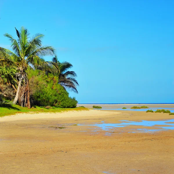 Plaży Sotavento w fuerteventura, Wyspy Kanaryjskie, Hiszpania — Zdjęcie stockowe