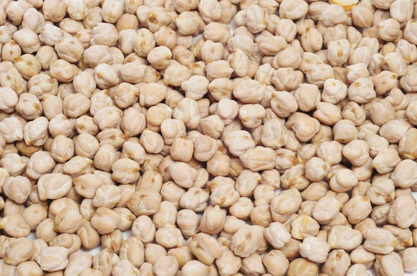 乾燥ヒヨコ豆 — ストック写真