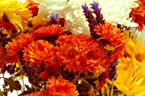 Flower bouquet — Stock Photo, Image