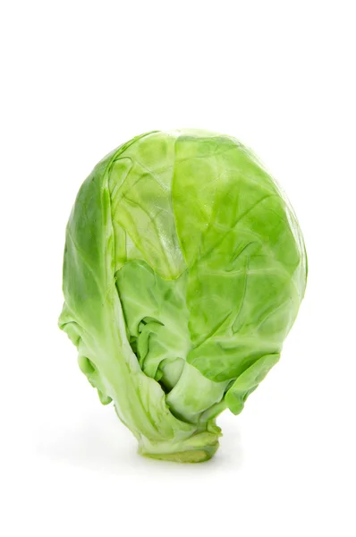 Brussels sprout — Stock Photo, Image