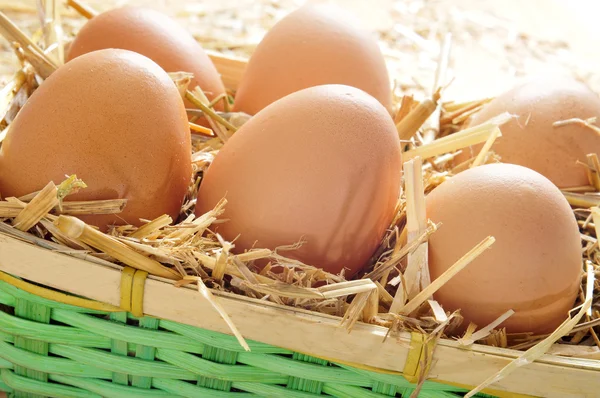 Hnědá vejce v košíku — Stock fotografie