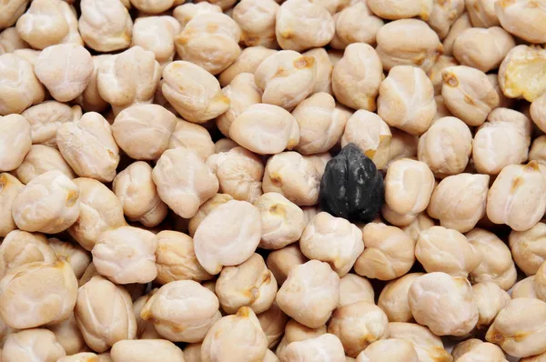 Un garbanzo negro en una pila de garbanzos secos —  Fotos de Stock