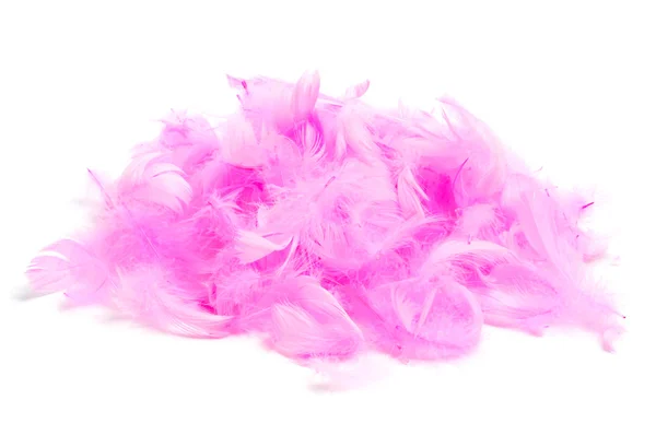 Plumas rosadas — Foto de Stock