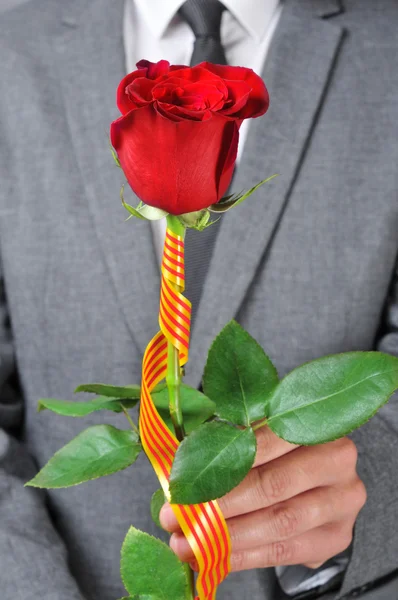 Een rode roos voor sant jordi dag in Catalonië, Spanje — Stockfoto