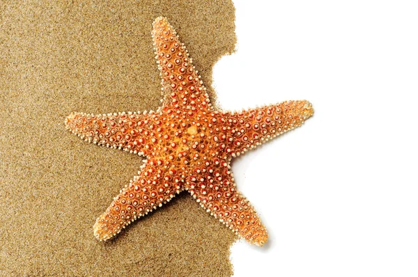 Starfish on the sand — Stock Photo, Image