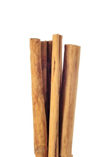 Cinnamon quills — Stock Photo, Image