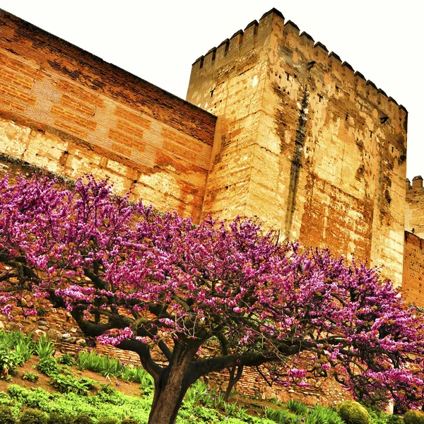 La Alhambra in Granada, Spain — Stock Photo, Image