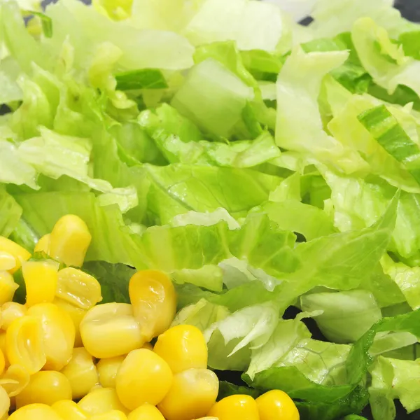 Кукурудза та салату — стокове фото
