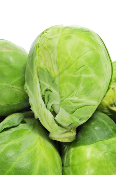 Brussels sprouts — Stock Photo, Image