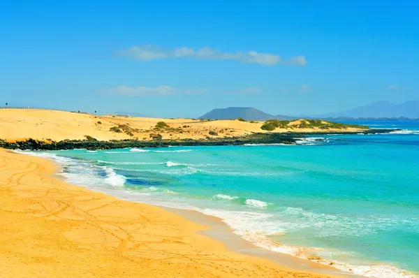 Stranden i naturpark med sanddyner i corralejo på fuerteventura, sp — Stockfoto