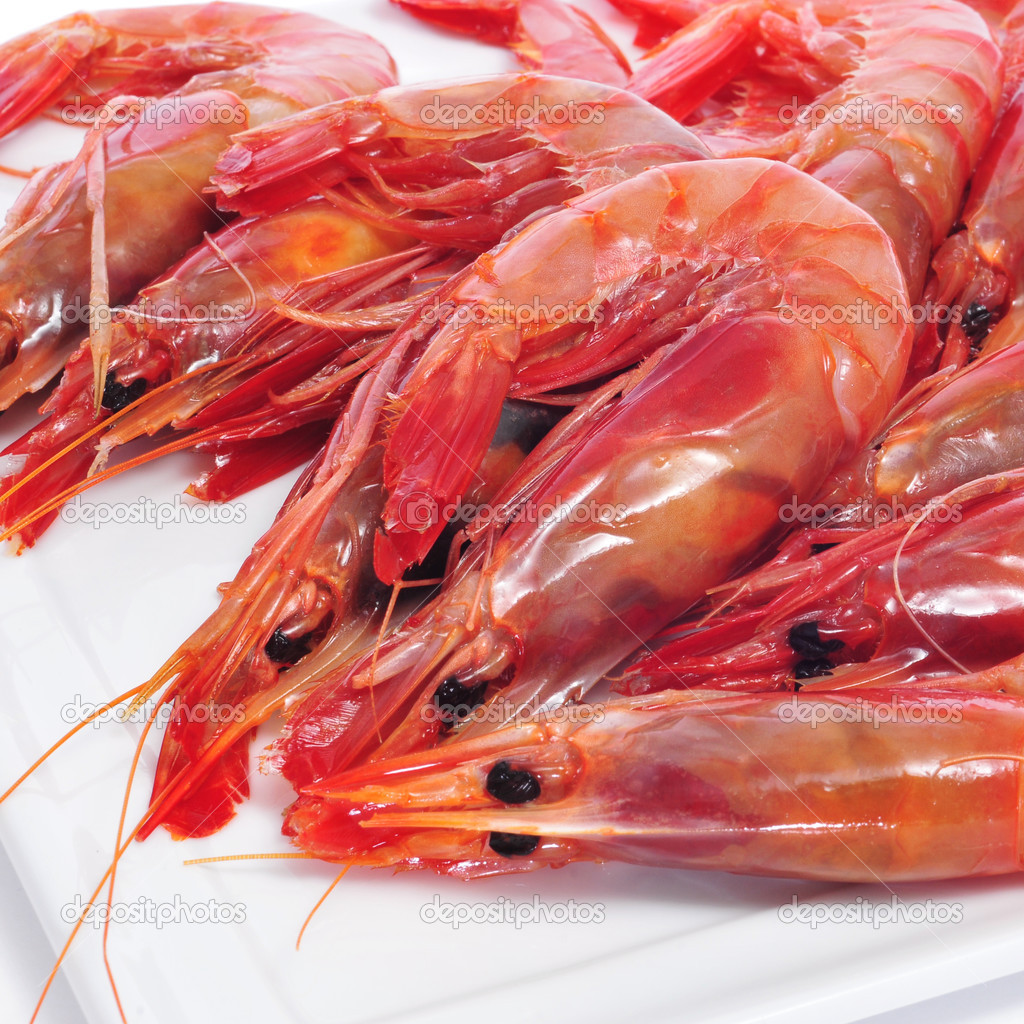 fresh raw shrimps