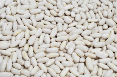 Beyaz kuru fasulye