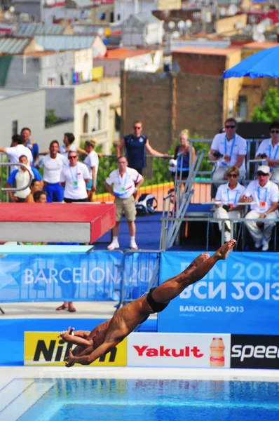 2013 World Aquatics Championships, in Barcelona, Spain — Stock Photo, Image